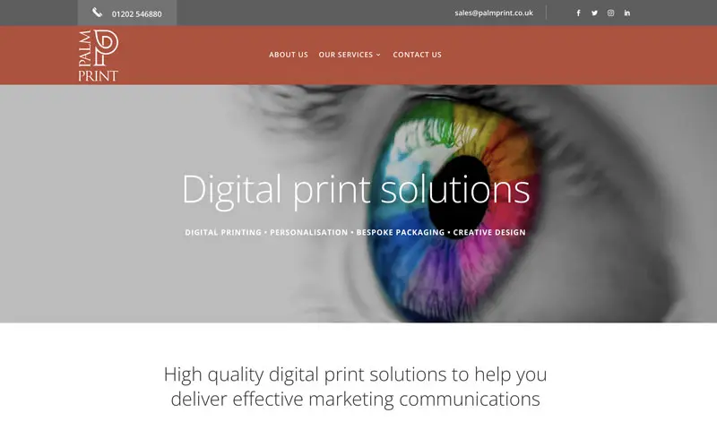 Palm Print web design